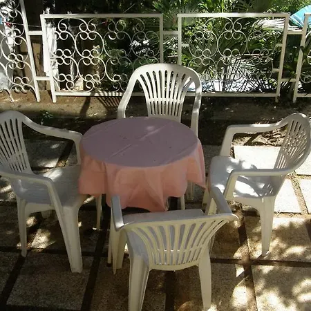 Darinka אופטיה